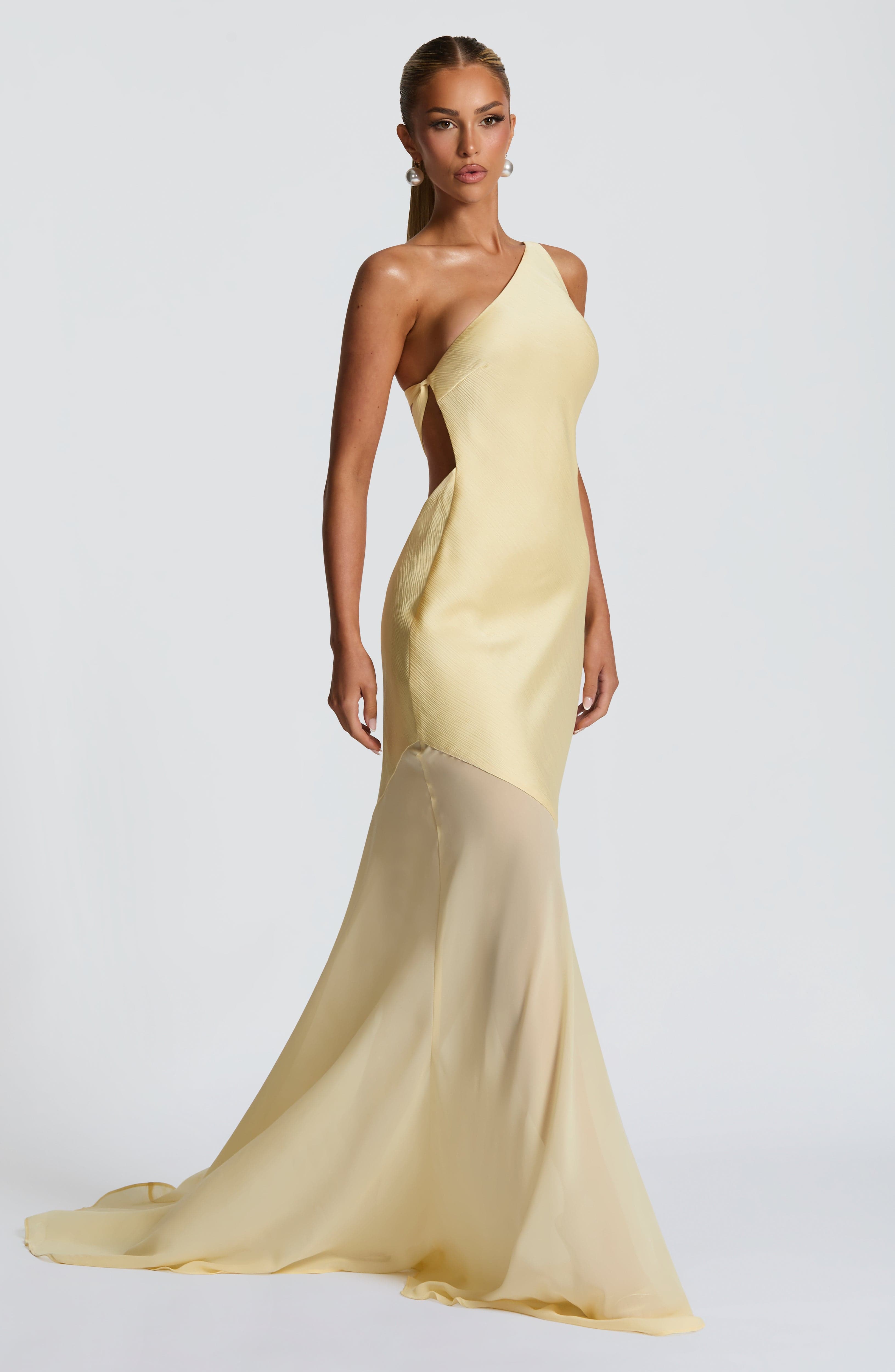 Golden Hour Elegance Dress