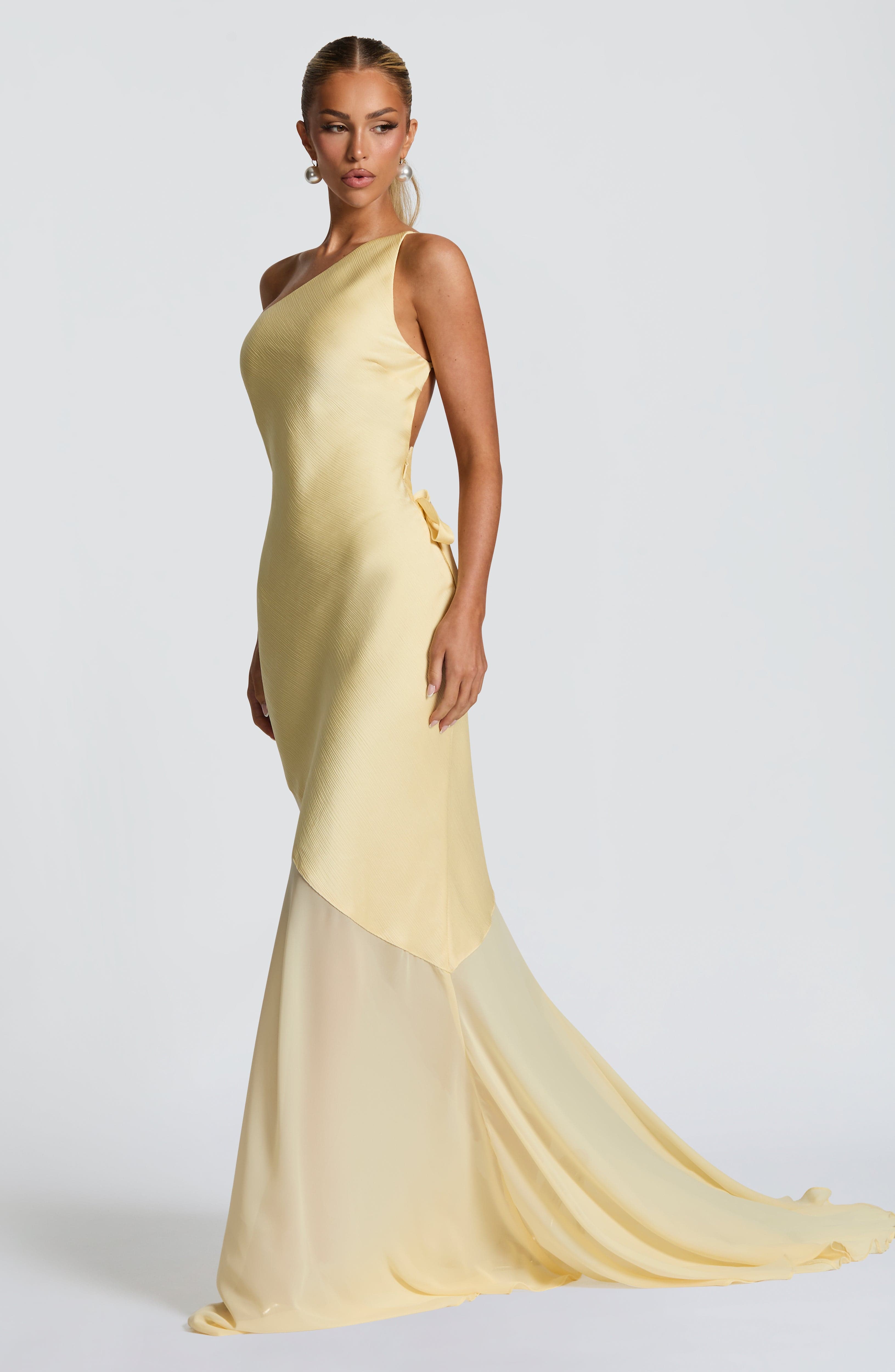 Golden Hour Elegance Dress